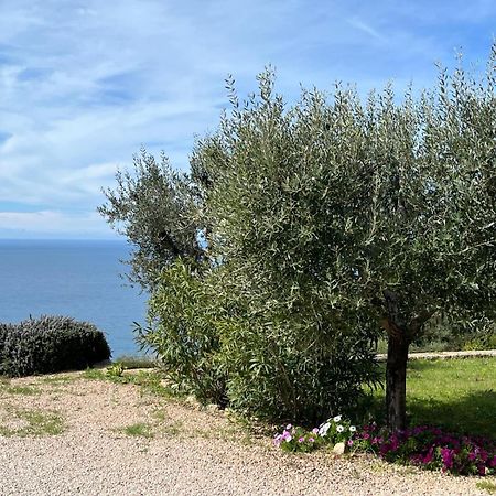 Stella D'Argento Bed and Breakfast Porto Santo Stefano  Exterior foto